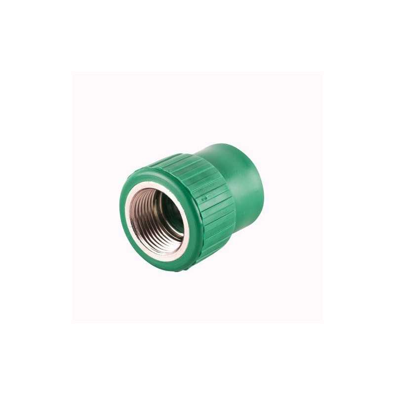 Conector Hembra 20mm 1/2 Tuboplus ( 2 Pzas )